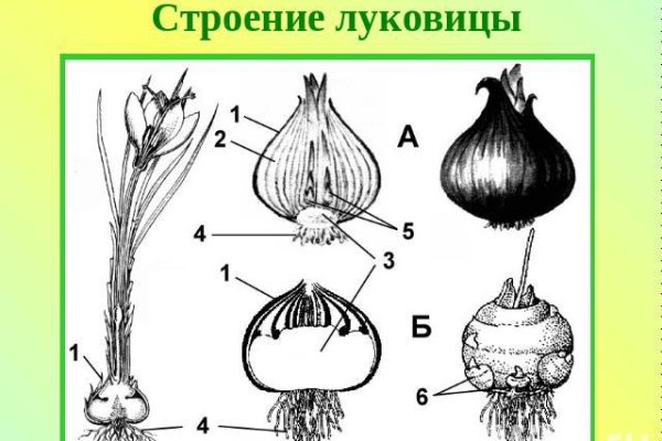 Каталог сайтов даркнет