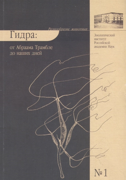 Кракен без тор