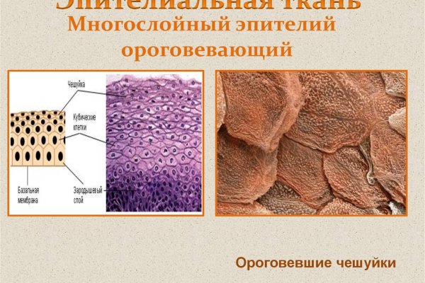 Кракен актуальные