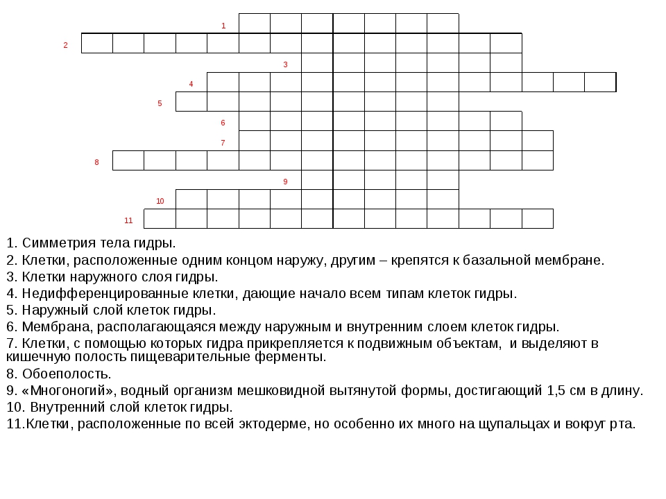 Как зайти на кракен через браузер
